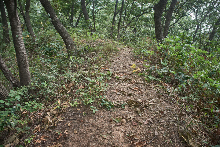 평택무성산성지 2