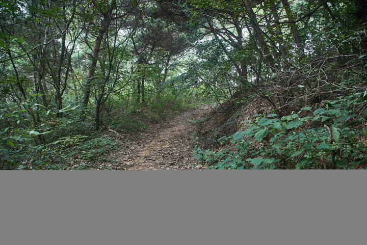 평택무성산성지 3