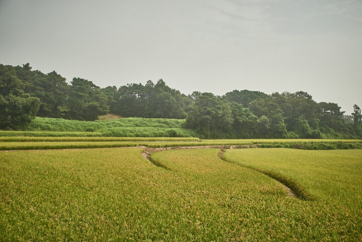 평택용성리성지 2