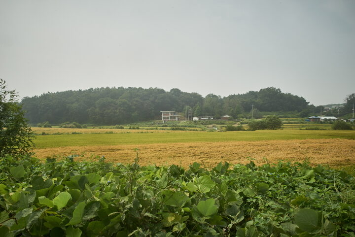 평택용성리성지 3