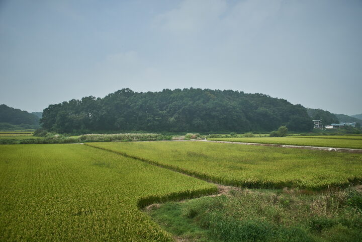 평택용성리성지 4