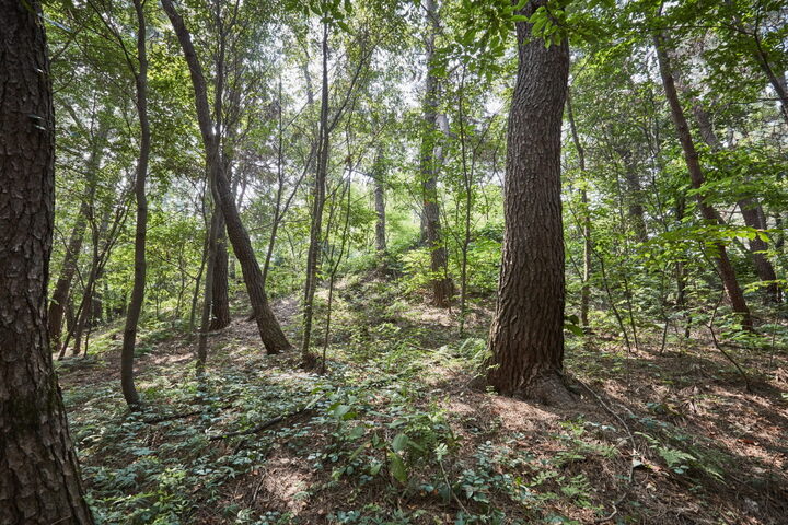 구성동산성