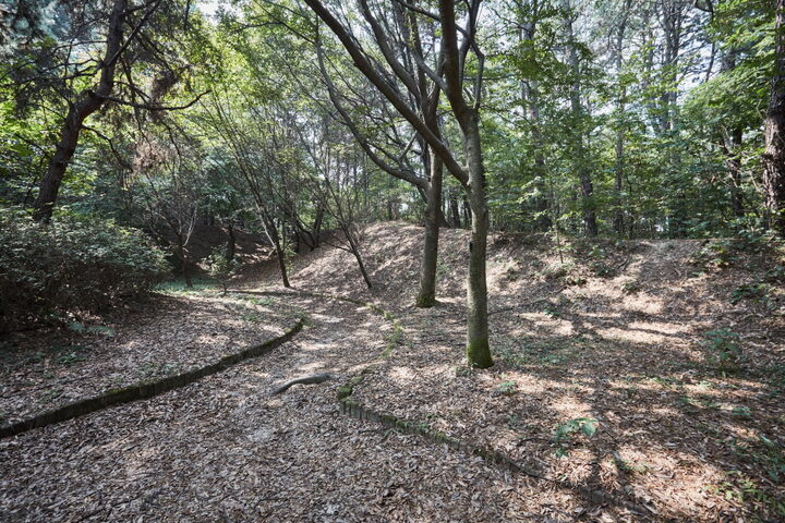 구성동산성
