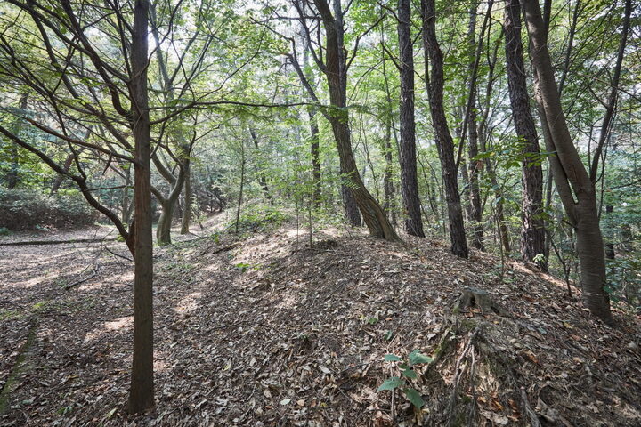구성동산성