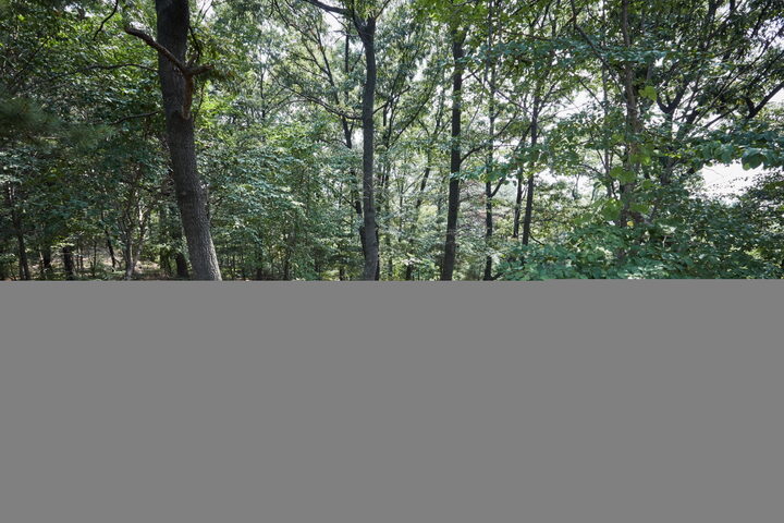 구성동산성