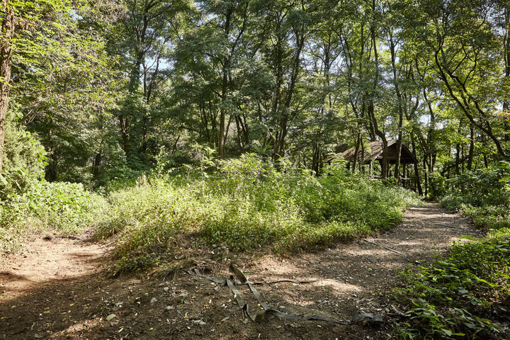 월평동산성
