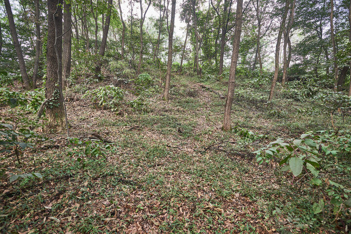 우술성