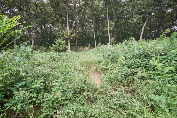 우술성
