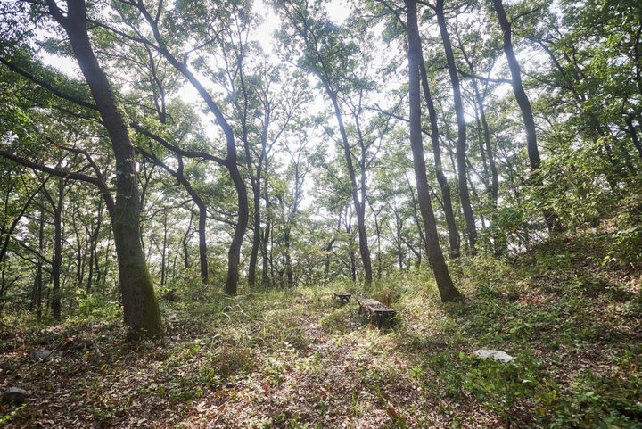 흑석동산성