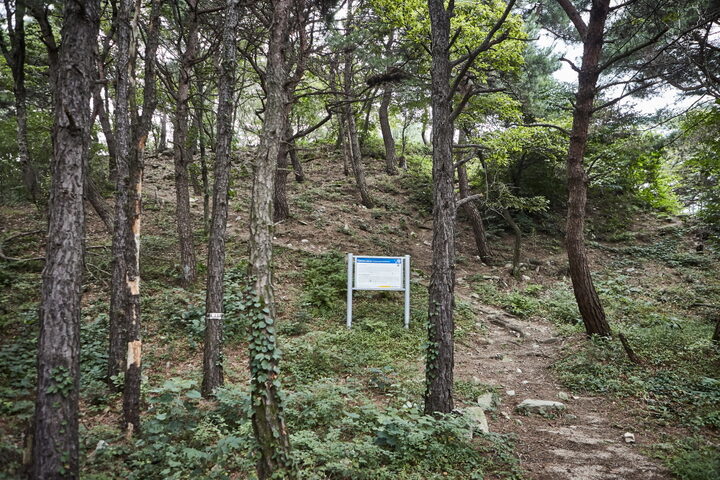 고봉산성