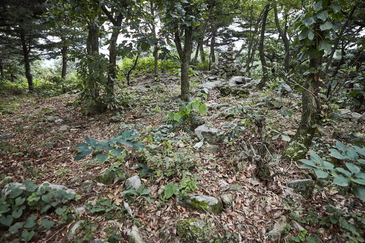 고봉산성