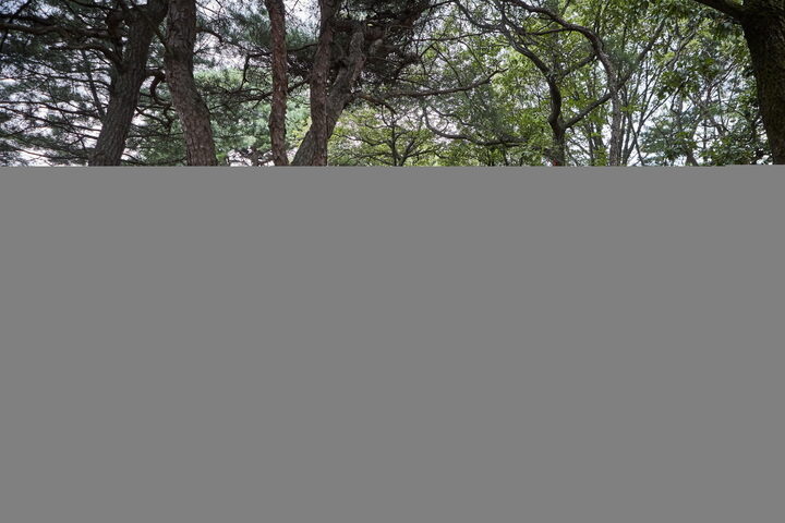 고봉산성