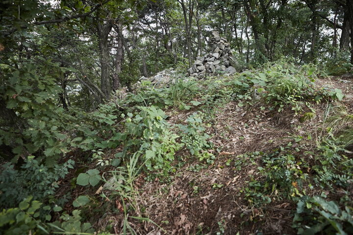 고봉산성