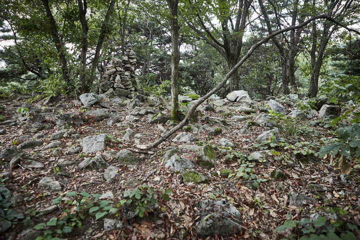 고봉산성