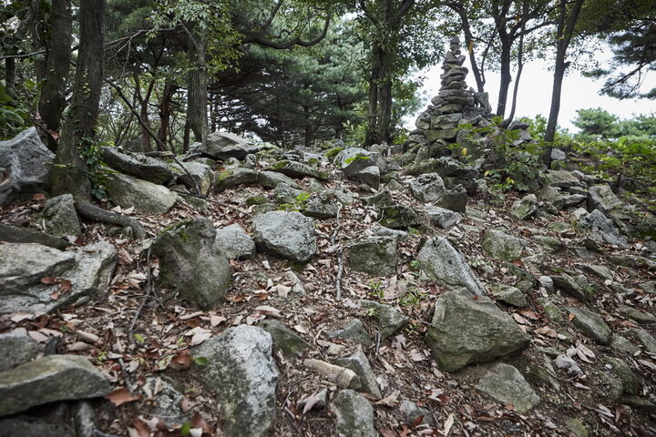 고봉산성