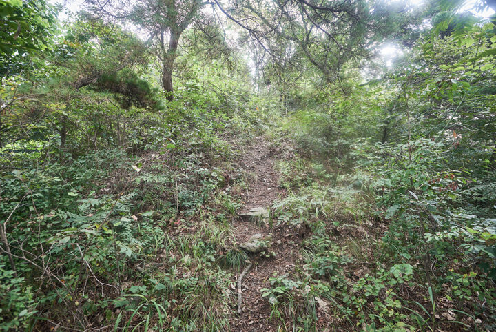 백골산성
