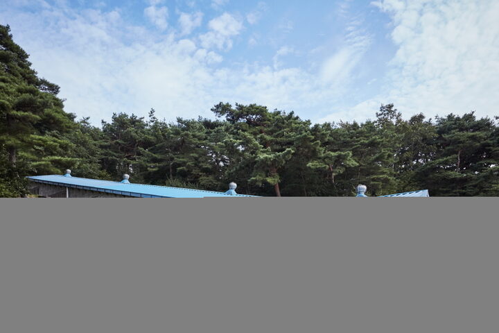 정생동백자가마터