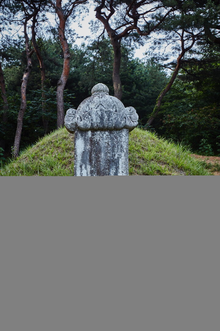 황형 묘