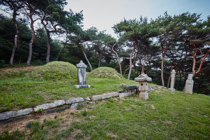 황형 묘