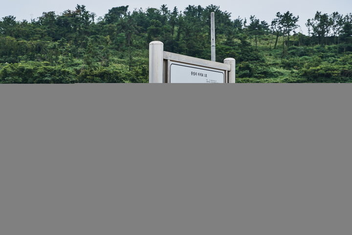 동일리지석묘1호