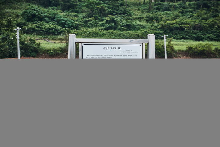 동일리지석묘3호