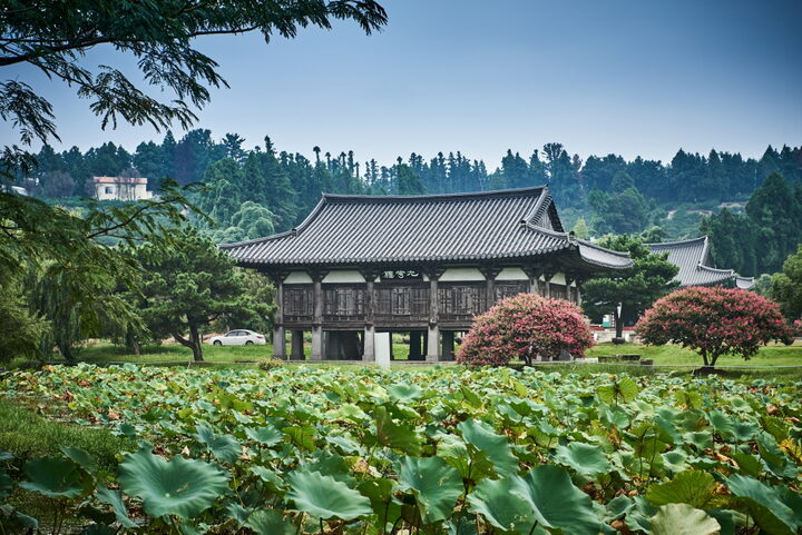 법화사지