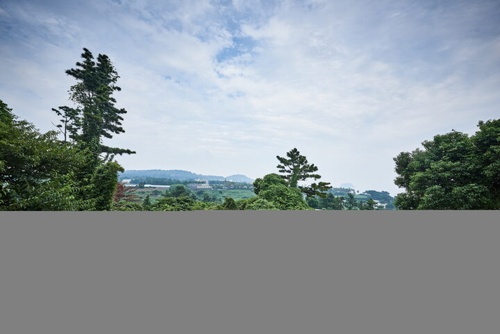연동연대
