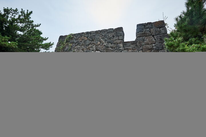 대포연대