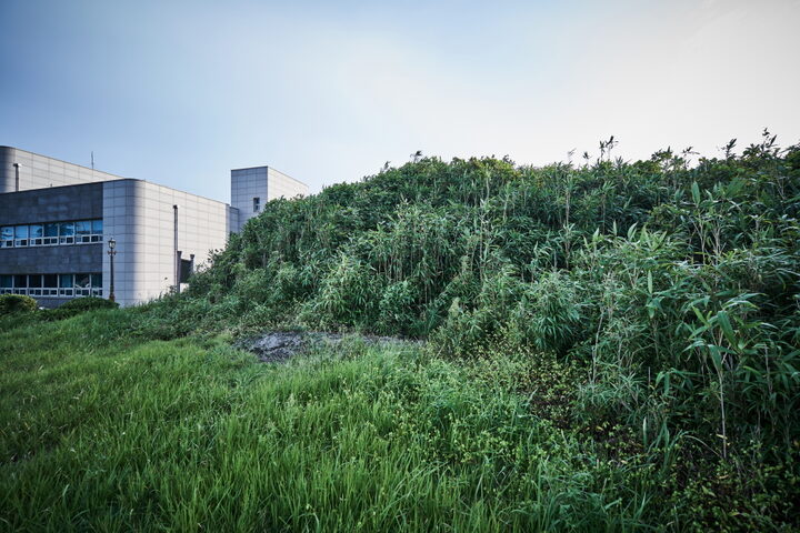 함덕연대