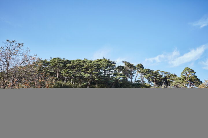 남이흥장군묘일원