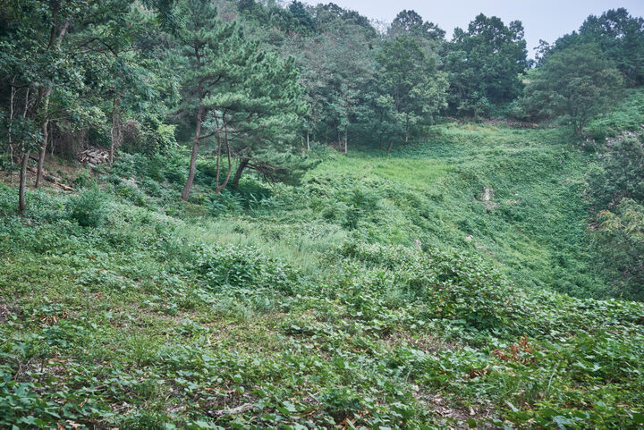 황산성