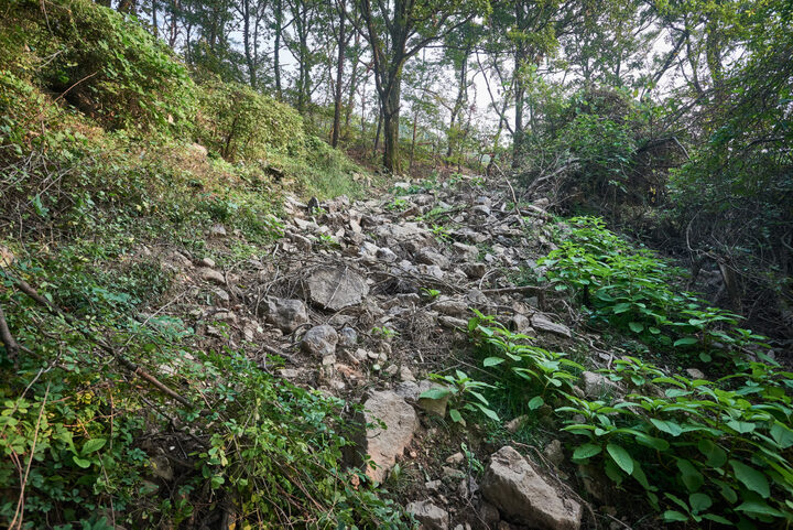배방산성