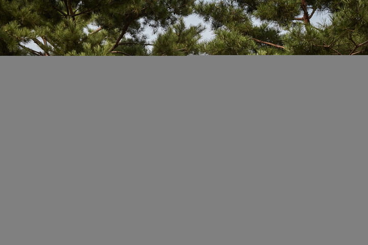 김좌진장군생가지