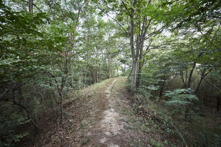 논산황화산성