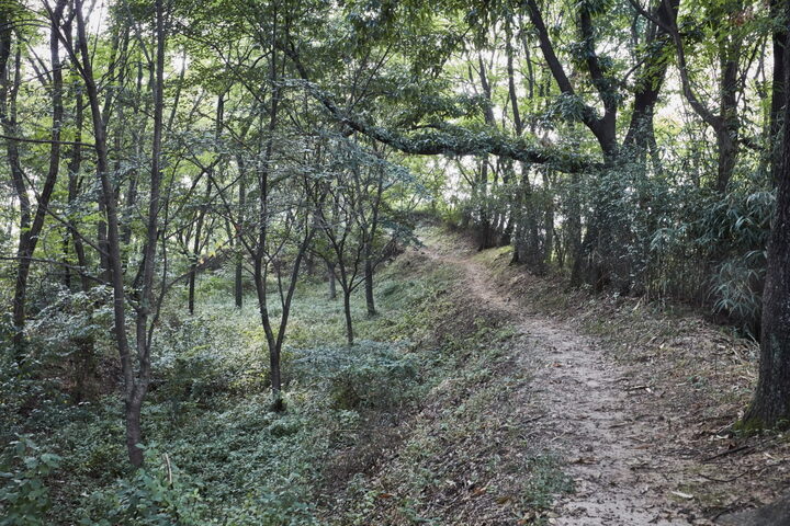 논산황화산성