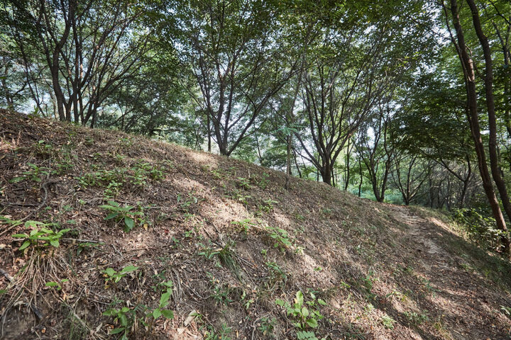 논산황화산성