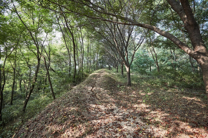 논산황화산성