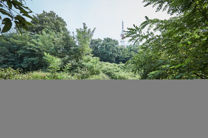 서천남산성