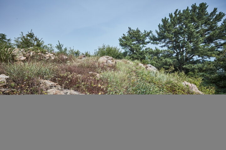 서천남산성