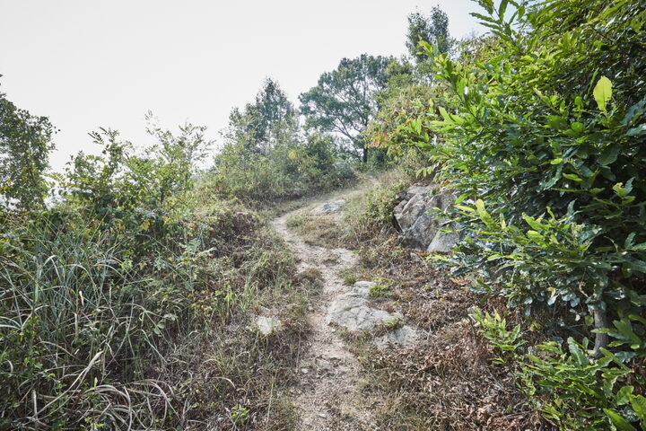 서천남산성