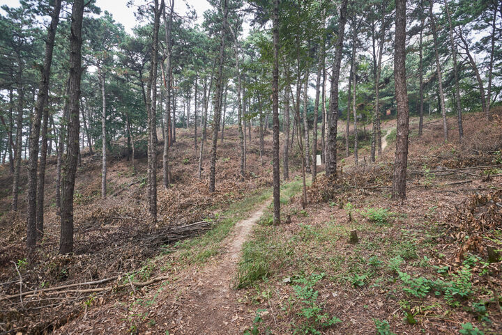직산사산성