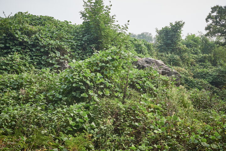 직산사산성