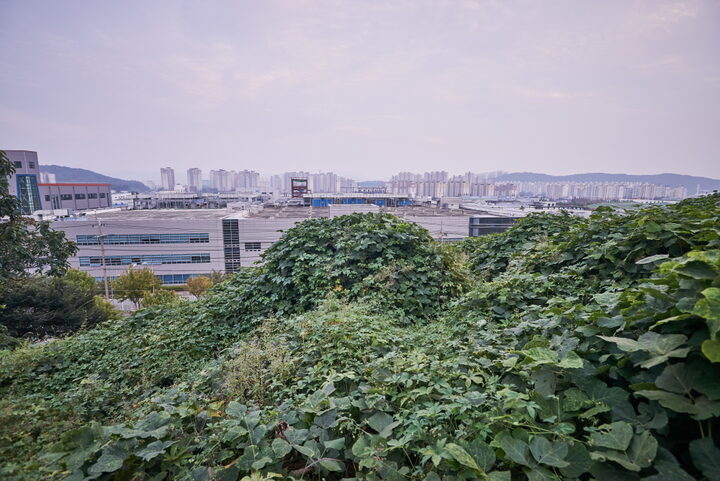 천안백석동선사유적및백제토성