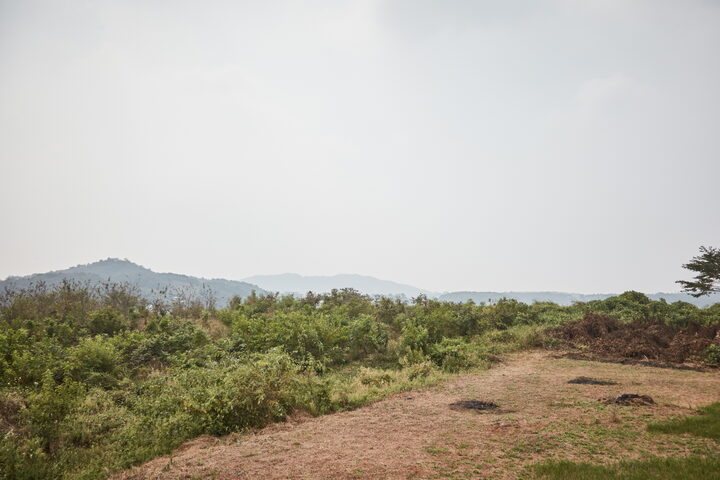 홍성신금성
