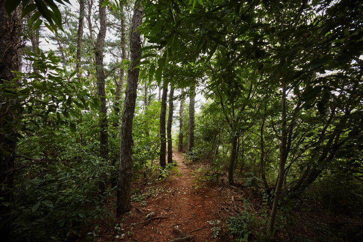 진천대모산성