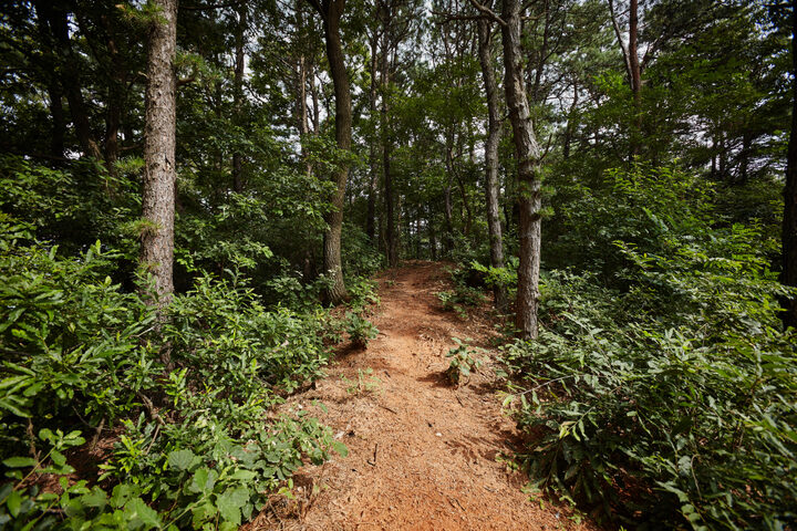 진천대모산성