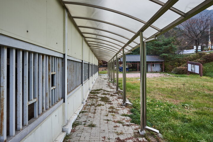 충주 미륵리 요지