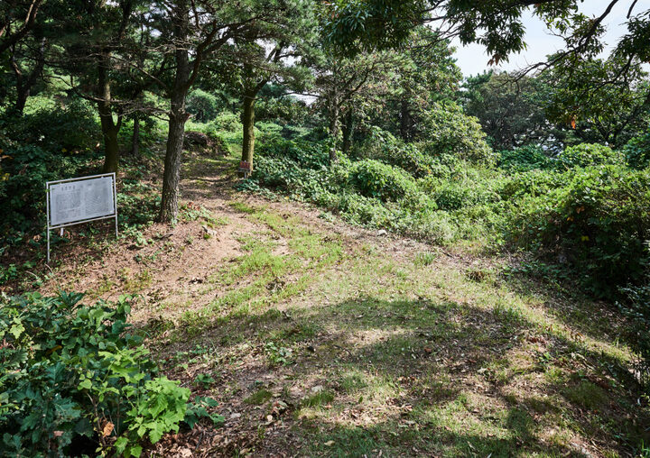 음성 망이산성
