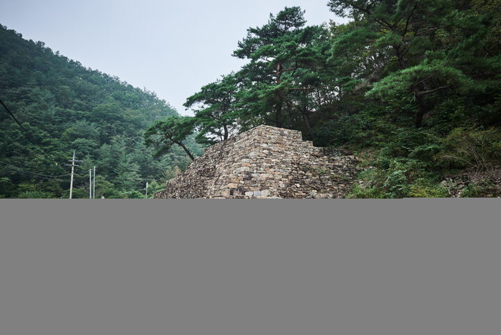 단양 사지원리 방단적석유구