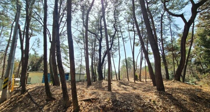 고성 사직단
